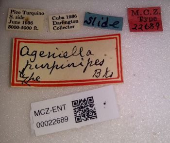 Media type: image;   Entomology 22689 Aspect: labels